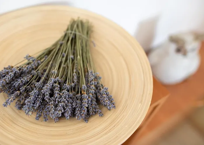 Lora Apartman Crikvenica