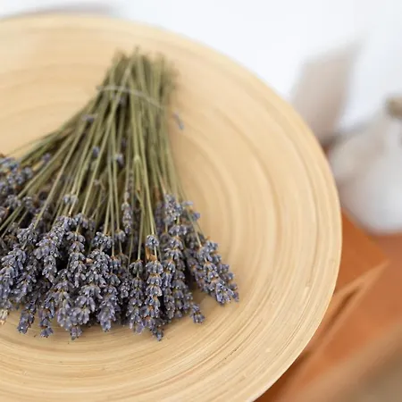 Lora Apartment Crikvenica