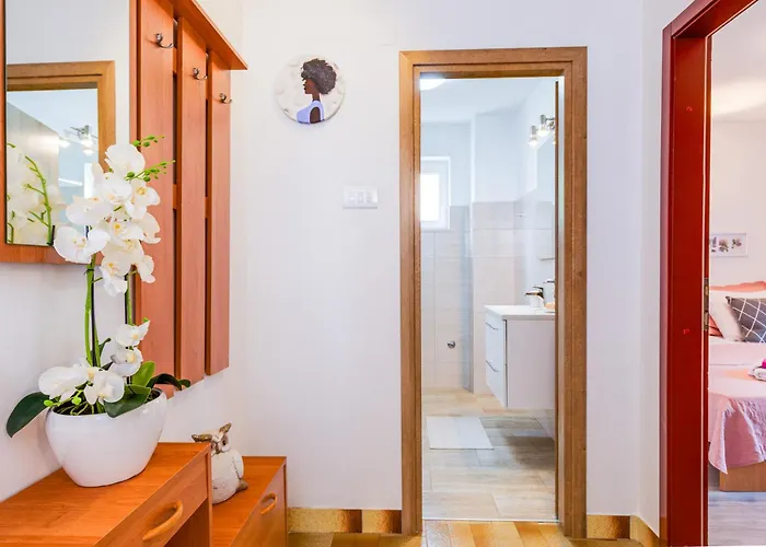 Lora 茨里克韦尼察